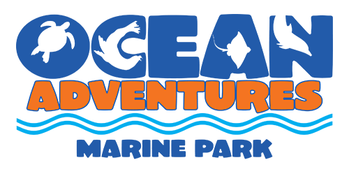 (c) Oceanadventures.us