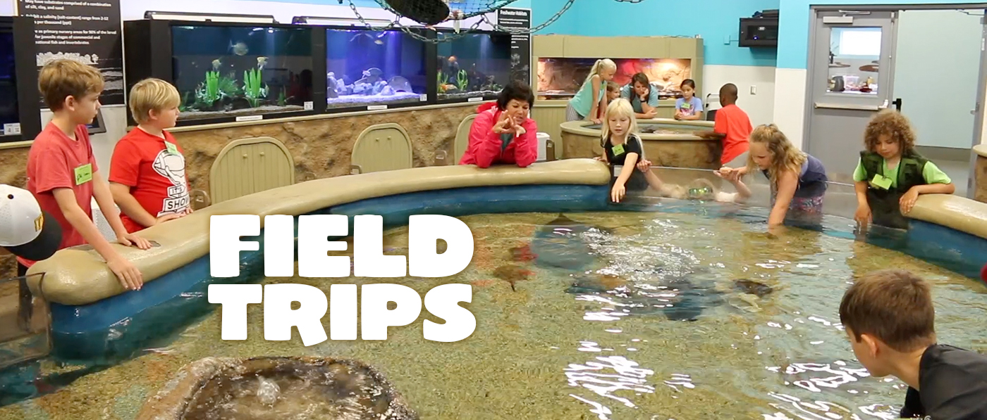 local field trips for middle school students