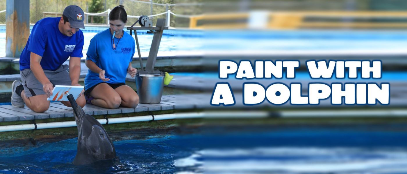 DolphinPainting